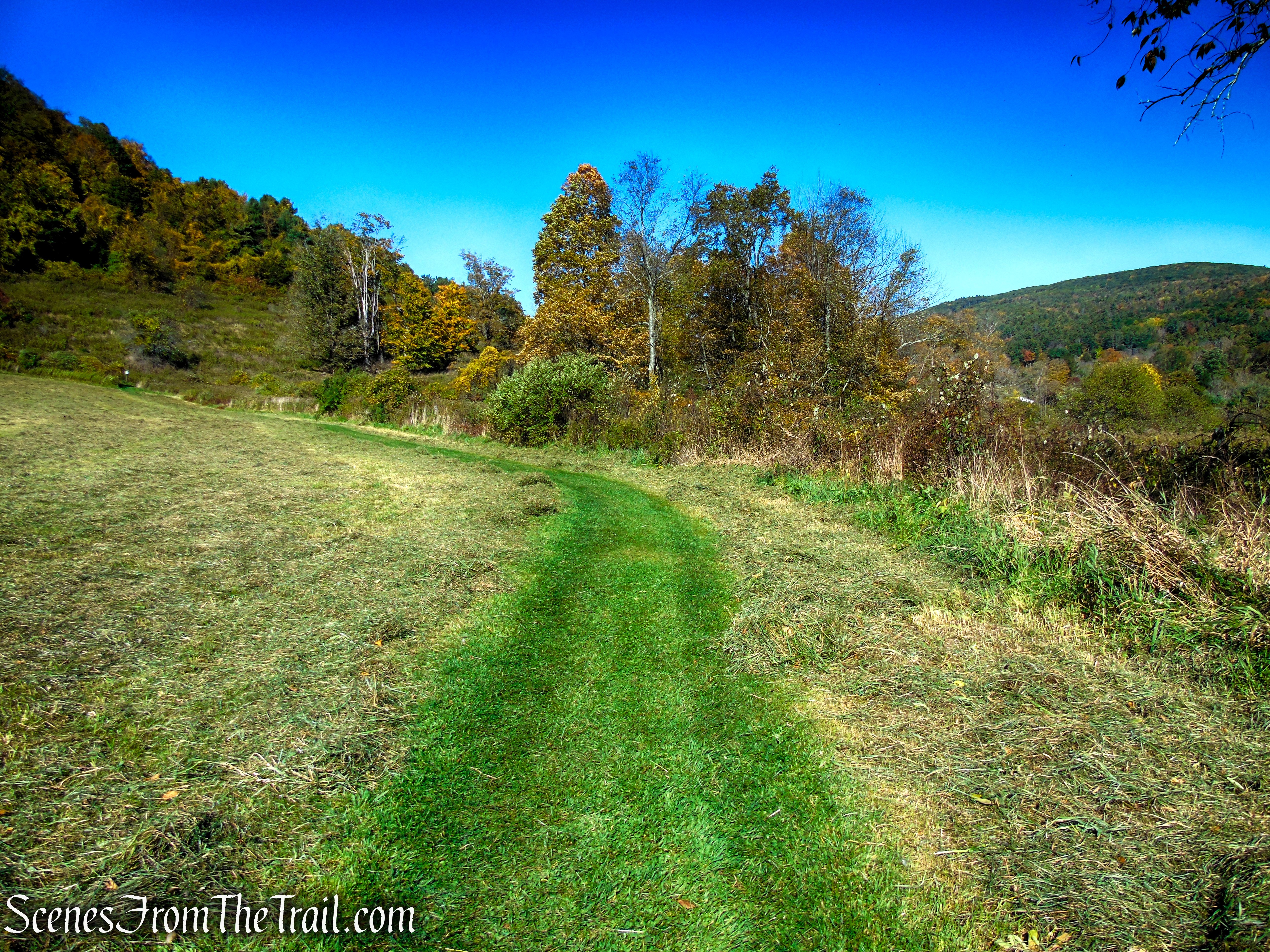 Cobble Loop Trail