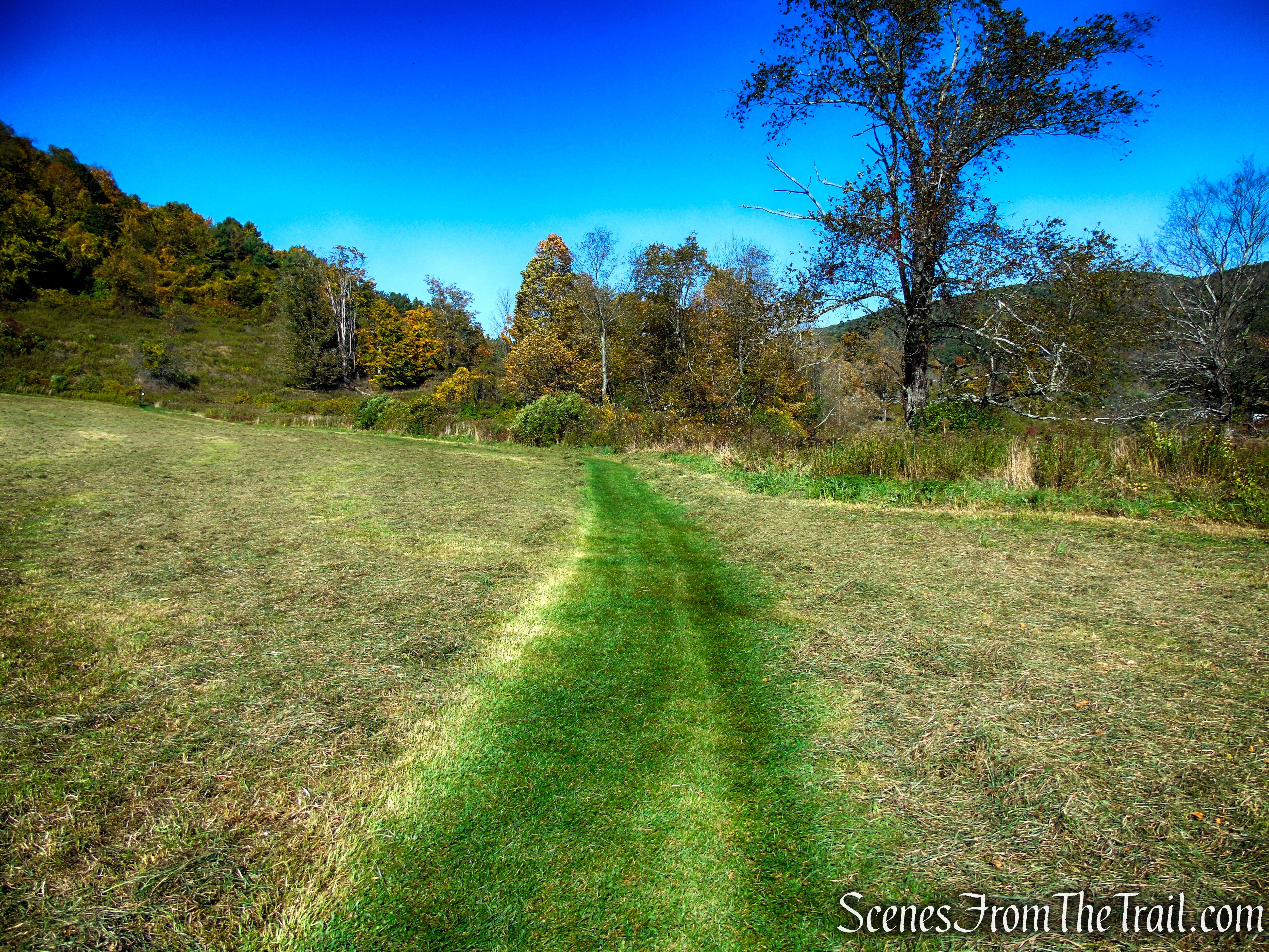 Cobble Loop Trail
